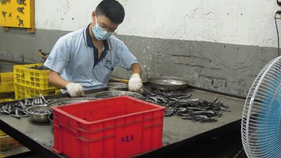 傳產業共茂力挺 多障青年阿誠樂做勤快「黑手」